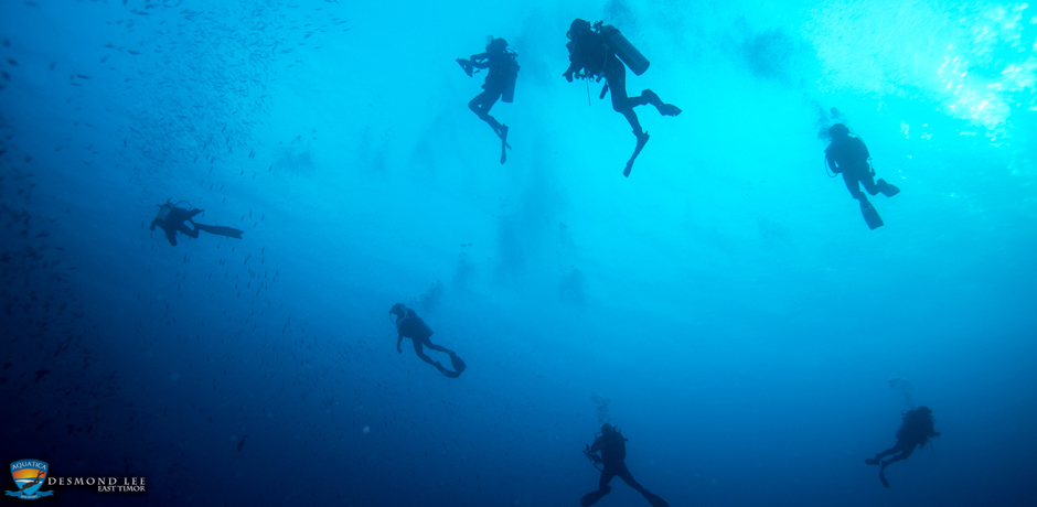 diving & Snorkelling